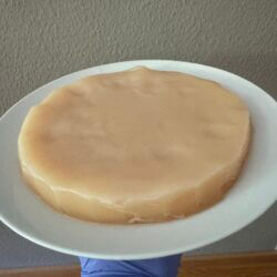 Spezial Angebot Kombucha (Scoby) "XXL"